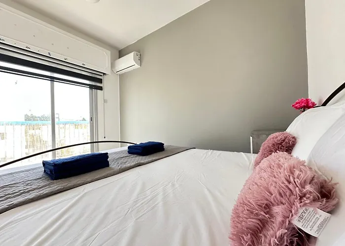 Adonis - 尼科西亚